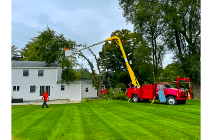 DC Wood Services